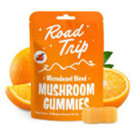 Road Trip Microdose Blend Mushroom